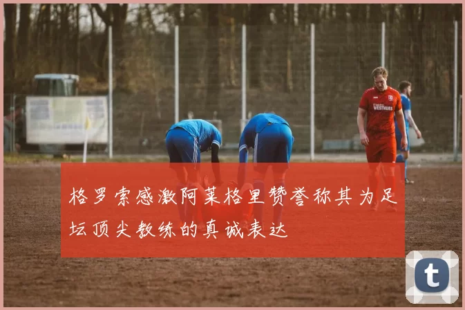 格罗索感激阿莱格里赞誉称其为足坛顶尖教练的真诚表达