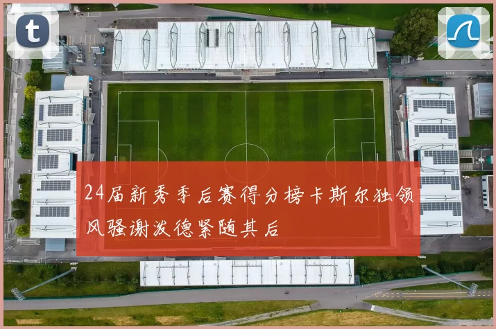 24届新秀季后赛得分榜卡斯尔独领风骚谢泼德紧随其后